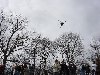 dsc03458.jpg