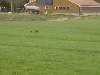 dsc03496.jpg