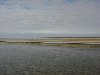 dsc03525.jpg