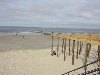 dsc03529.jpg