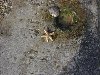 dsc03530.jpg