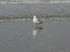dsc03534.jpg