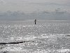 dsc03545.jpg