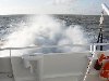 dsc03563.jpg