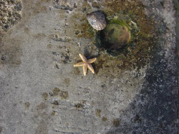 dsc03530.jpg