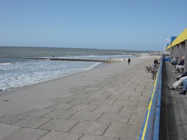 dsc03543.jpg
