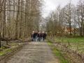 dsc04383.jpg