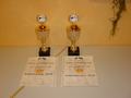 dsc04398.jpg