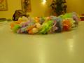 dsc04408.jpg
