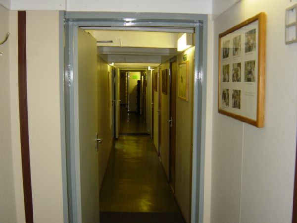 dsc01374.jpg