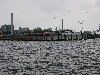 dsc01984.jpg 600x450 57 KB dsc01984.jpg