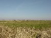 dsc01789.jpg