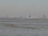 dsc01800.jpg