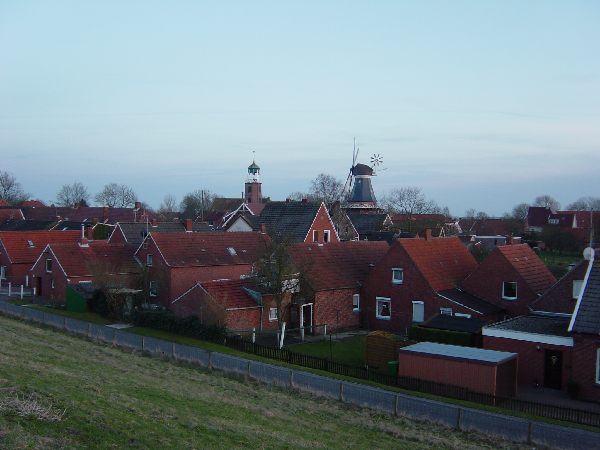 dsc01786.jpg
