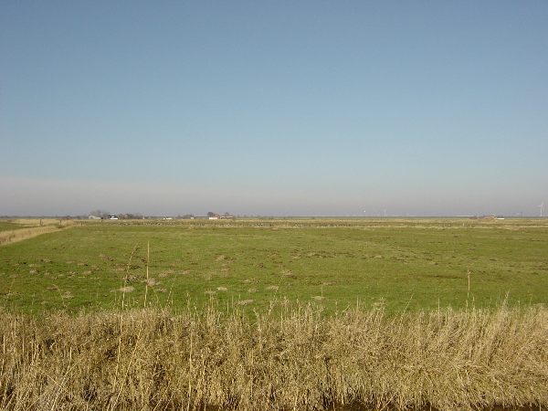 dsc01791.jpg