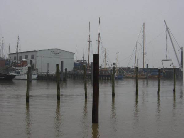 dsc01848.jpg
