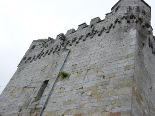 dsc05380.jpg