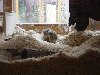 dsc01747.jpg