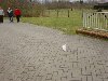 dsc01759.jpg