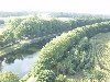 dsc05510.jpg