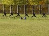 dsc03210.jpg 600x450 51 KB dsc03210.jpg