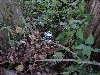 dsc03263.jpg