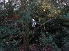 dsc03266.jpg