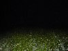 dsc03273.jpg