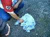 imag0015.jpg