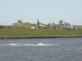 dsc04564.jpg
