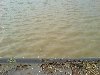 dsc00031.jpg