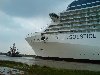 dsc00103.jpg