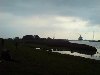 dsc00138.jpg