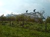 dsc00147.jpg