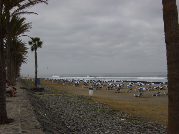 dsc04424.jpg