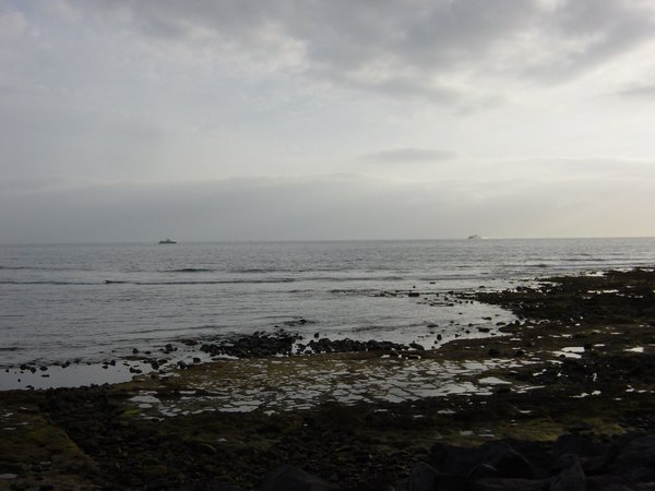 dsc04431.jpg