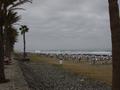 dsc04424.jpg