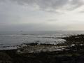 dsc04431.jpg