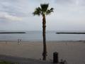 dsc04435.jpg