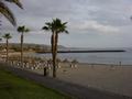 dsc04436.jpg