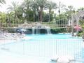 dsc04451.jpg