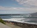 dsc04478.jpg