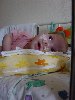 dsc02969.jpg