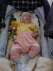 dsc02999.jpg