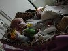 dsc02380.jpg