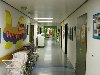 dsc02408.jpg