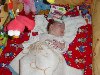 dsc02641.jpg