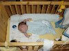 dsc02248.jpg