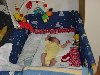 dsc02262.jpg