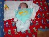 dsc02301.jpg